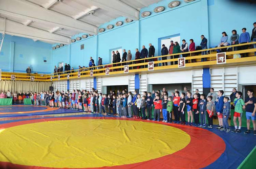 У Гребінці пройшли змагання з греко-римської боротьби