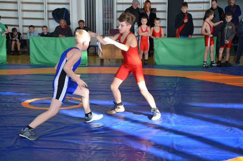 У Гребінці пройшли змагання з греко-римської боротьби