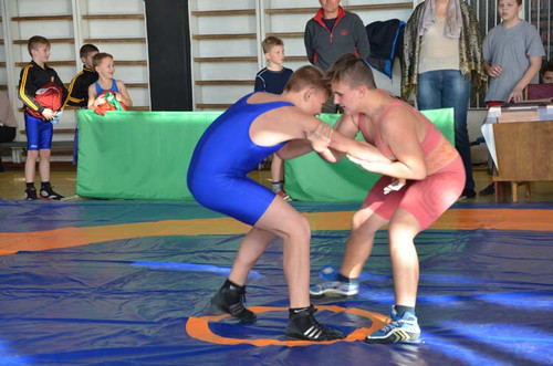 У Гребінці пройшли змагання з греко-римської боротьби