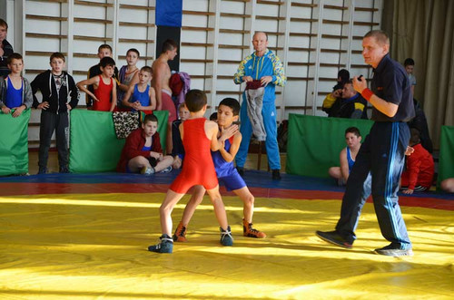 У Гребінці пройшли змагання з греко-римської боротьби
