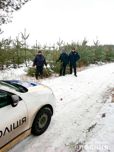 На Полтавщині поліція зупинила незаконну вирубку ялинок