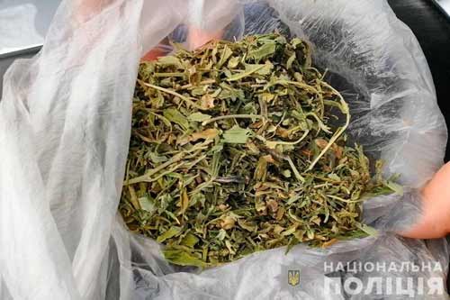 На Миргородщині детективи у 28-річної жінки вилучили наркотики