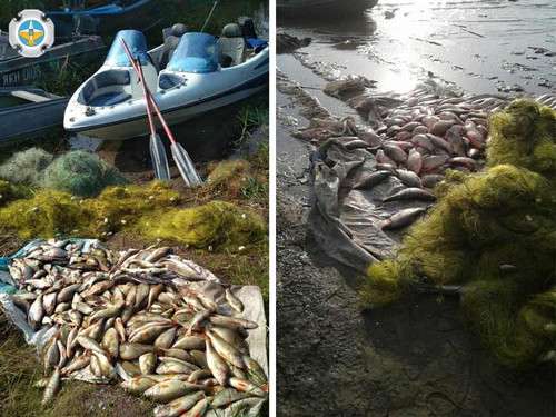 За рік роботи Полтавський рибоохоронний патруль провів 1460 рейдів