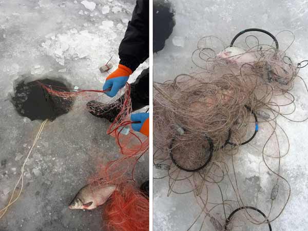 У Полтавському рибпатрулі розповіли про заборонені знаряддя лову