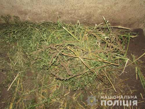 На Оржиччині внаслідок обшуку було вилучено наркотичні засоби