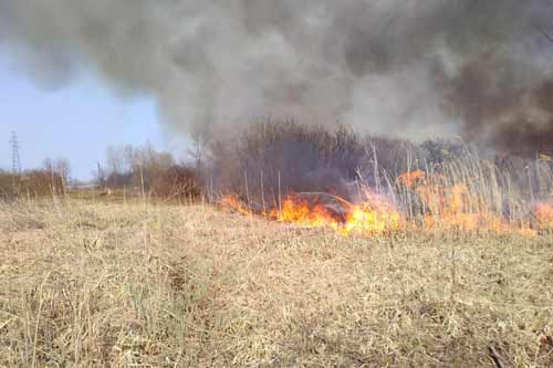 На Полтавщині за добу рятувальники ліквідували 22 пожежі на відкритій території