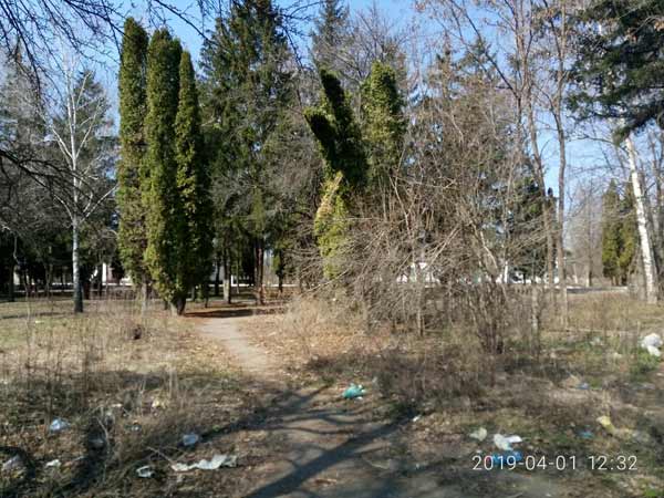 Гребінківців закликають зробити своє місто чистим