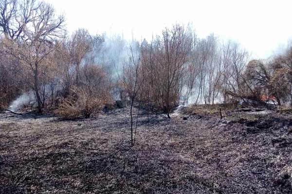 Рятувальники ліквідували 22 пожежі на відкритій території