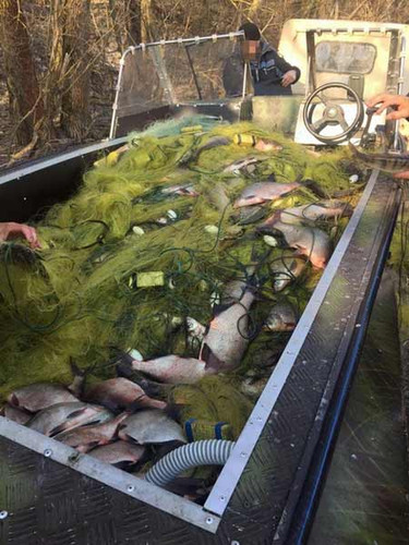 На Полтавщині посадовці "кришували" браконьєрів