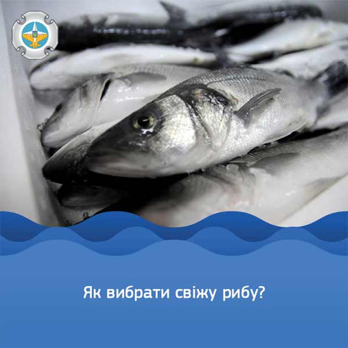 як правильно обрати якісну рибу