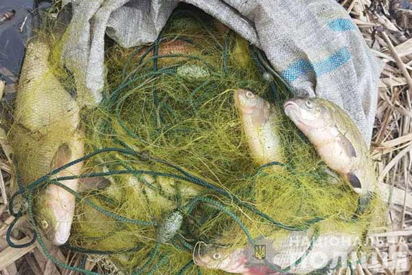  На Полтавщині вилучено понад 790 кг риби, незаконно виловленої під час дії нерестової заборони 