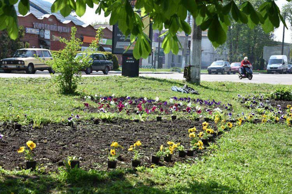 У Пирятині розпочато роботи з озеленення міста У Пирятині розпочато роботи з озеленення міста