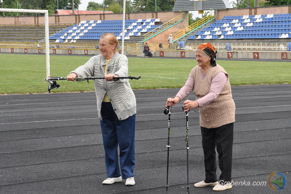 Скандинавська хотьба