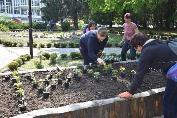 У Пирятині розпочато роботи з озеленення міста У Пирятині розпочато роботи з озеленення міста