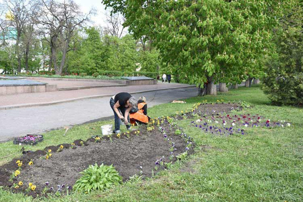 У Пирятині розпочато роботи з озеленення міста У Пирятині розпочато роботи з озеленення міста