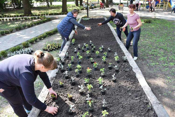 У Пирятині розпочато роботи з озеленення міста У Пирятині розпочато роботи з озеленення міста