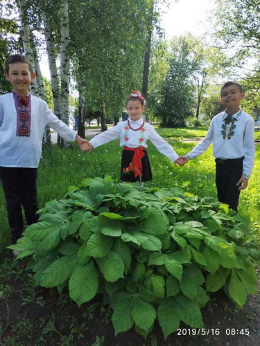День вишиванки День вишиванки