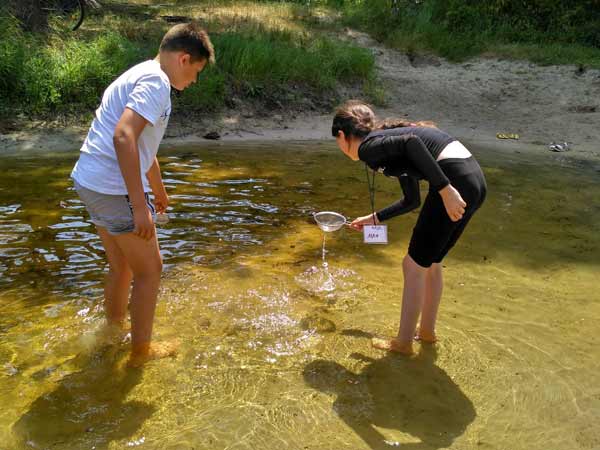 На Полтавщині діти знайшли водяного скорпіона