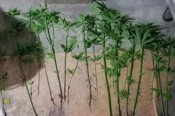 На Полтавщині «накрили» нарколабораторію