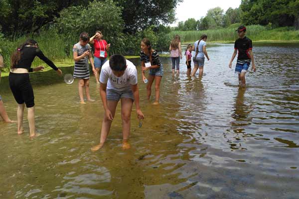 На Полтавщині діти знайшли водяного скорпіона
