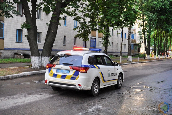 Поліцейські Гребінківщини