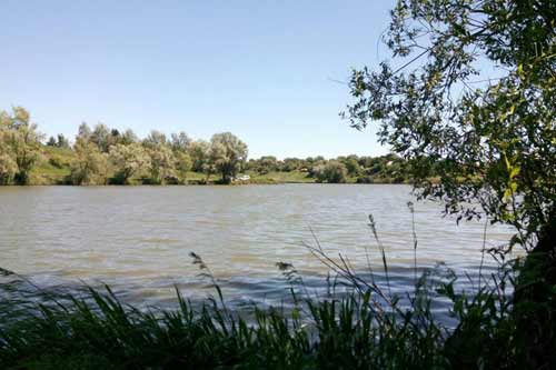 У ставку на Полтавщині потонув 33-річний чоловік