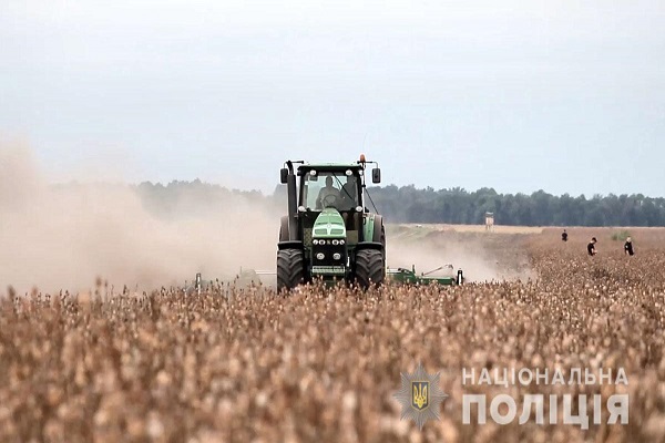 На Полтавщині триває процедура знищення 240 га опійного маку
