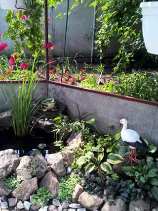 У Гребінці підвели підсумки огляду-конкурсу на кращий благоустрій