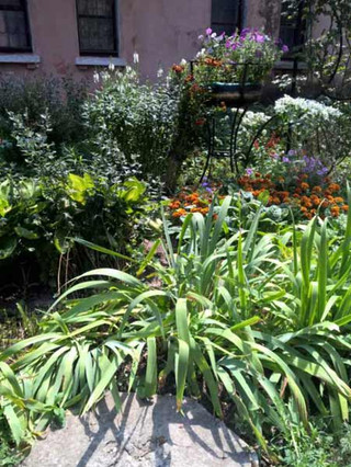 У Гребінці підвели підсумки огляду-конкурсу на кращий благоустрій