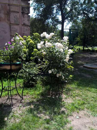 У Гребінці підвели підсумки огляду-конкурсу на кращий благоустрій