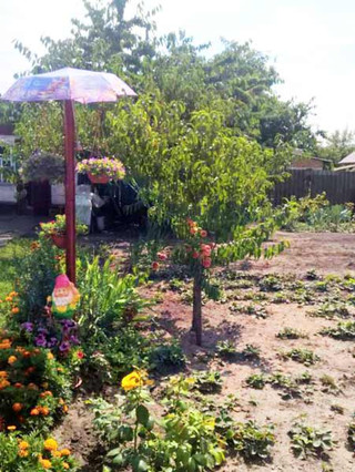 У Гребінці підвели підсумки огляду-конкурсу на кращий благоустрій