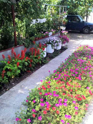 У Гребінці підвели підсумки огляду-конкурсу на кращий благоустрій