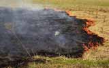 МНСники Полтавщини б’ють на сполох через весняні пожежі при спалювання сухої трави