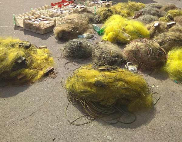 Протягом місяця на Полтавщині викрили 240 порушень правил рибальства