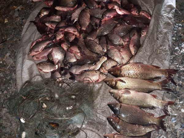 Протягом місяця на Полтавщині викрили 240 порушень правил рибальства