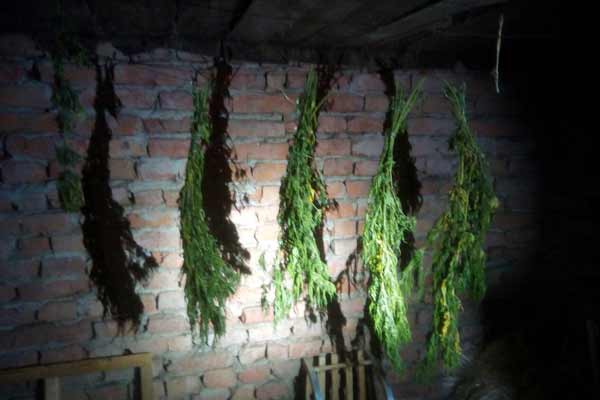 Операція « Мак – 2019» на Полтавщині