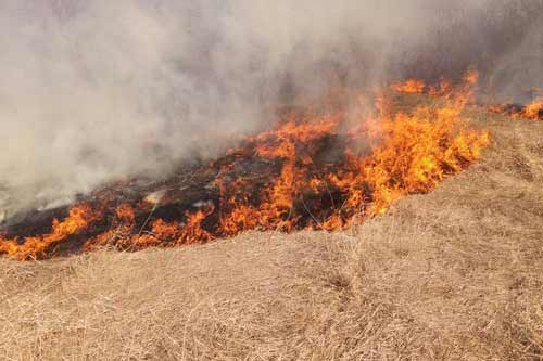  На Полтавщині спостерігається високий ризик виникнення пожеж на відкритих територіях 
