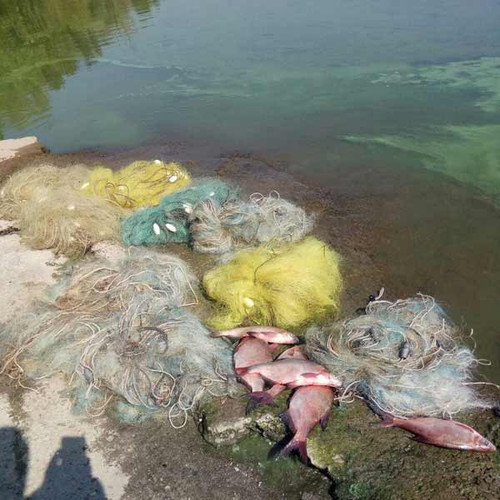 Протягом місяця на Полтавщині викрили 240 порушень правил рибальства