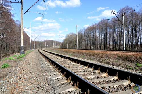 На Полтавщині приміський пасажирський потяг на смерть збив 48-річнного чоловіка