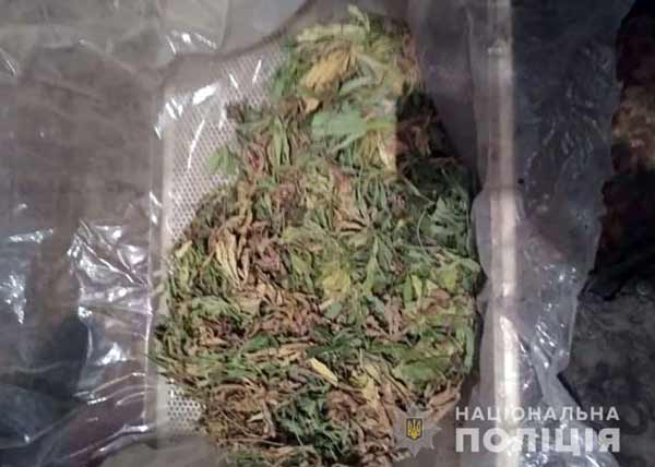 Наркозлочини