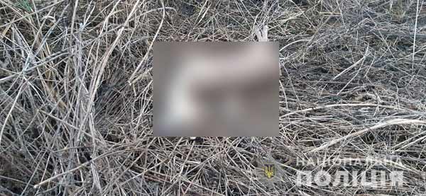 Браконьєрів, що вбили косулю, упіймали на Полтавщині