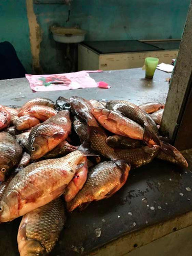 Полтавський рибоохоронний патруль здійснює рейди місцевими ринками Полтавський рибоохоронний патруль здійснює рейди місцевими ринками