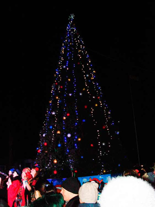 У Гребінці урочисто відкрили головну ялинку громади