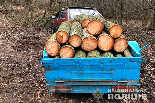  Поліцейські Лохвиччини викрили два факти <b>незаконної</b> <b>порубки</b> деревини на території району 