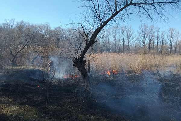 За минулу добу на Полтавщині вогнеборці загасили 6 пожеж на відкритій території