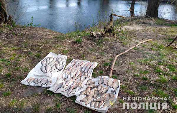 На Лубенщині спіймали браконьєра, який на річці Сула ловив рибу «павуком» (ФОТО)