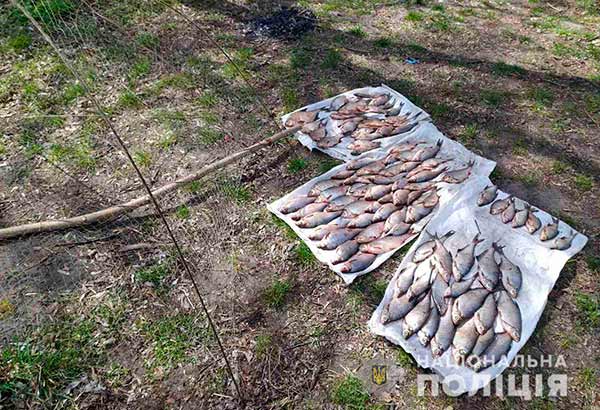 Незаконний вилов риби