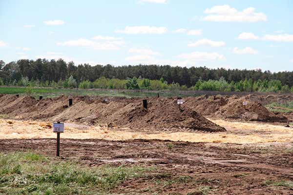 Загиблі птахи на «Кременчуцькій птахофабриці» мають бути утилізовані