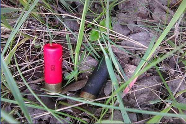 Незаконне полювання