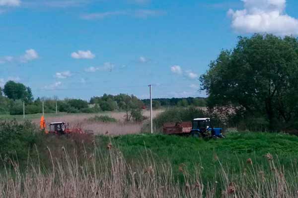 Прибирання прибережної зони річки Удай